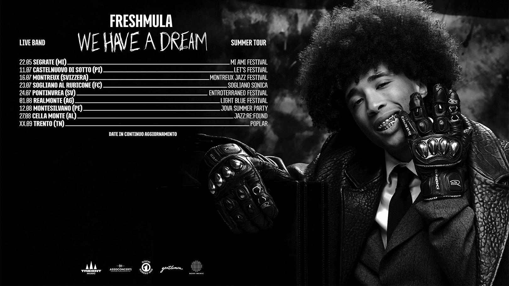 We Have a Dream Summer Tour