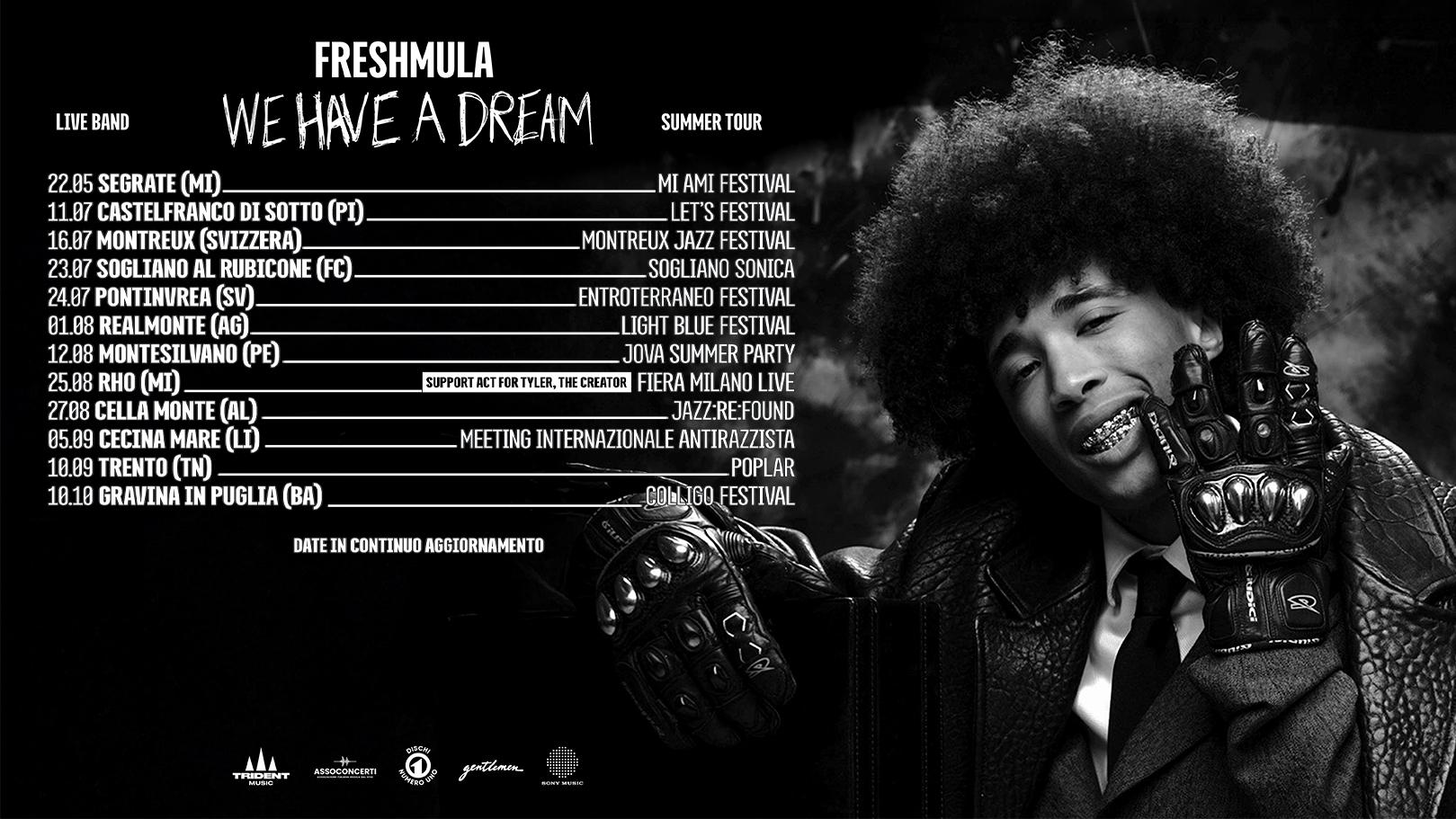 We Have a Dream Summer Tour